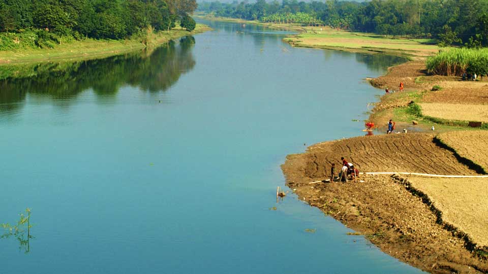 ধলাইয়ের বুকে রাখাল ও গরুর পাল